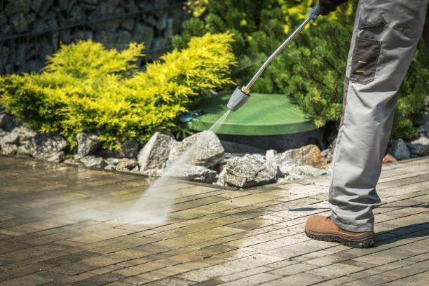 Best Sidewalk and Walkway Cleaning  in Maggie Valley, NC